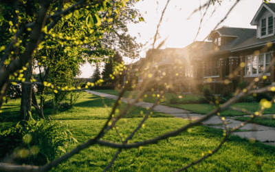4 Ways To Give Your Offer an Edge This Spring